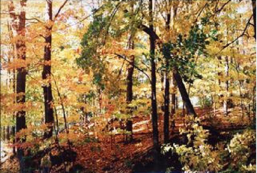 The Cottage Stockbridge Εξωτερικό φωτογραφία